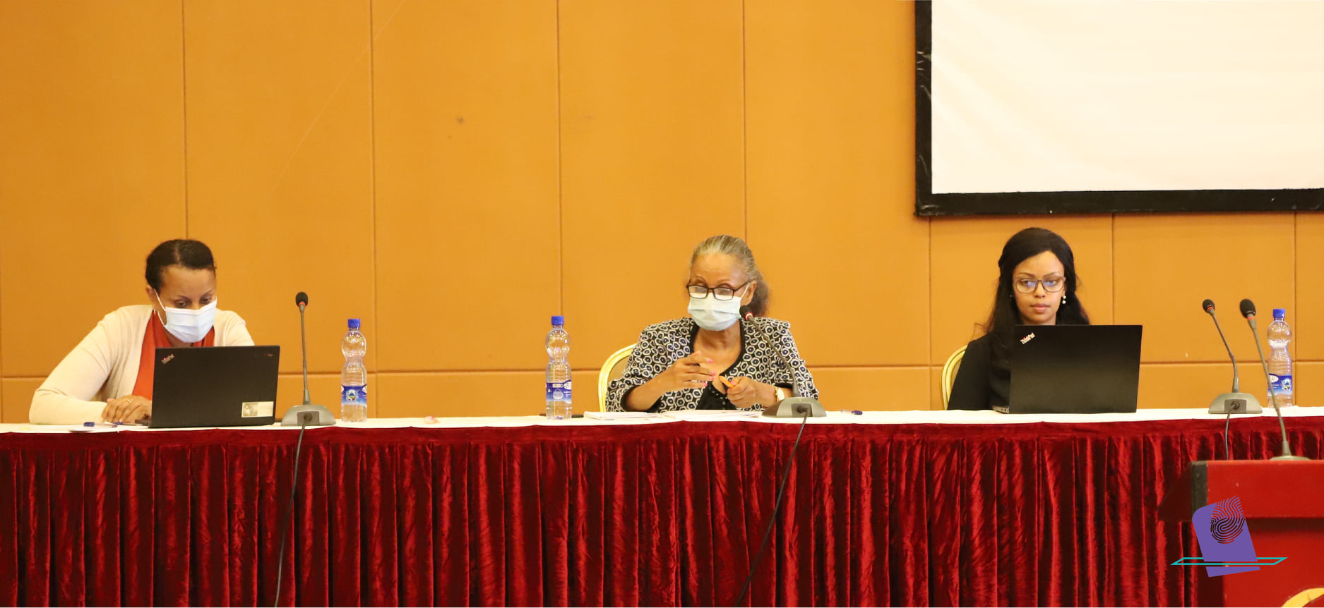 NEBE/Gender mainstreaming