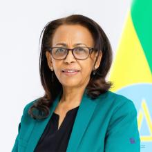 ወ/ሮ ሜላትወርቅ ኃይሉ  B